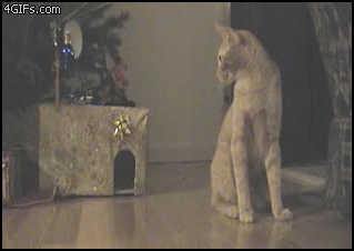 i1609973461.gif