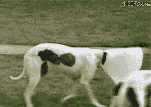 %EB%8F%85%EC%8B%9D.gif