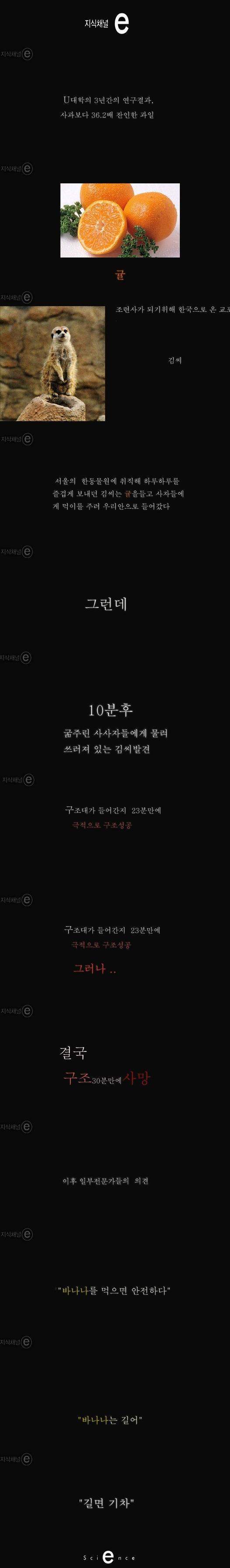 99.jpg