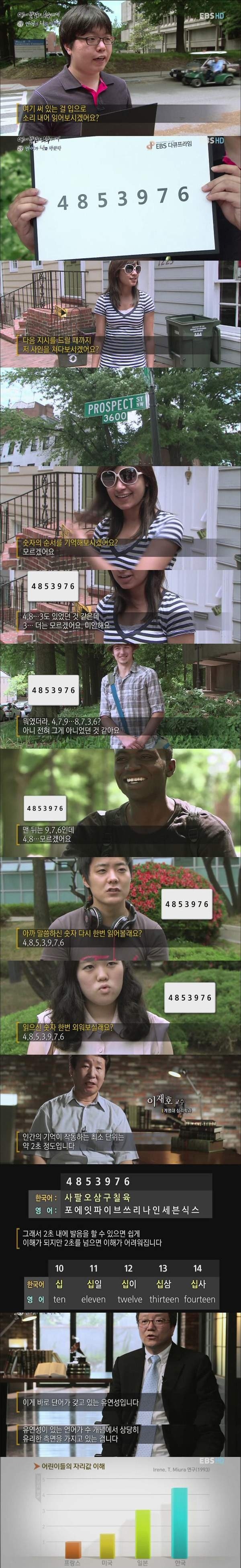B1.jpg