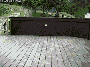 44444.gif