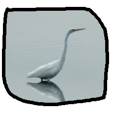 새