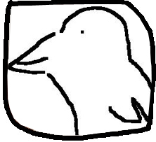 t.jpg